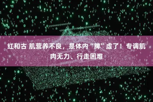 红和古 肌营养不良，是体内“脾”虚了！专调肌肉无力、行走困难