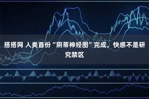 搭搭网 人类首份“阴蒂神经图”完成，快感不是研究禁区